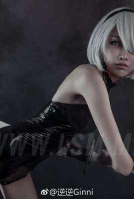 (Nie Ni Ginni) Фанатка NieR Automata 2B, крутая девчонка, потому что