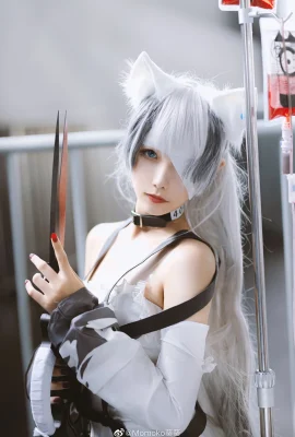 Город кошек Трисс @Momoko Aoi Kwai (9 фото)