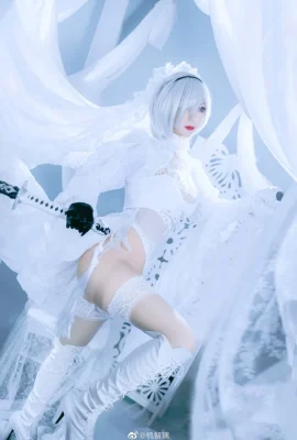 NieR: Automata 2b Fan Hua Marry @jizhili (9 фото)