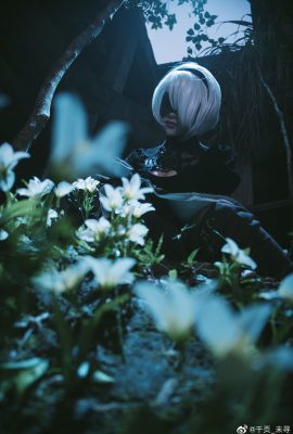 (Тысяча страниц_не найдено) 2B Cos